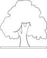 4 Linden Aachen